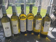 White wines of Alto Piemonte and Monferrato